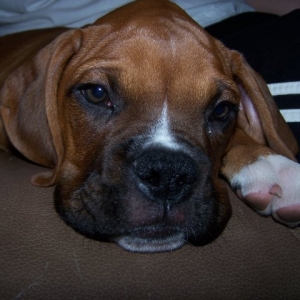 Sleepy baby
