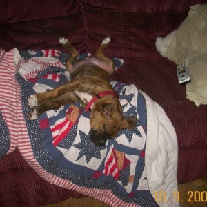 sunday afternoon nap.