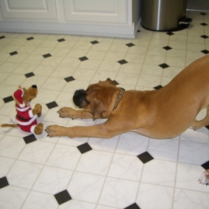 Scooby & Lucy