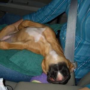 Sleeping on Mommy's Lap