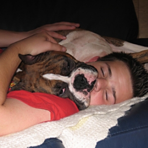 Happiness is a warm Boxer...