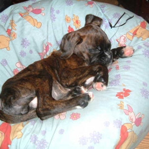 buster_11_weeks