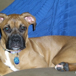 Pretty Girl