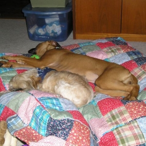 aren't they sweet