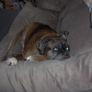maxcouch1