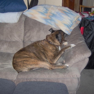 maxcouch2