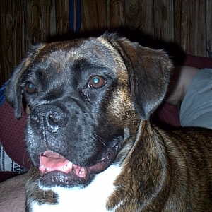 Coco
