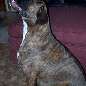 Sitting nicely