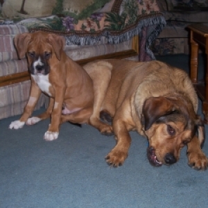 Zeus and Randy