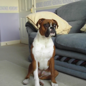 Gorgeous boy !!