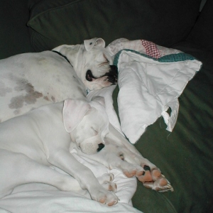 Sleeping