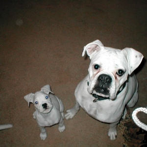 2 Muggs