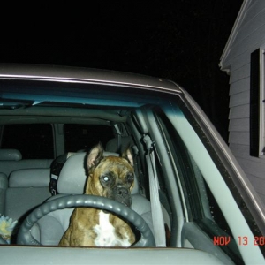 Can I please drive