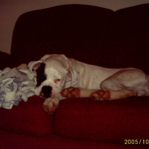Sleepy boy