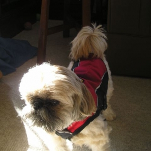 Nylas new coat
