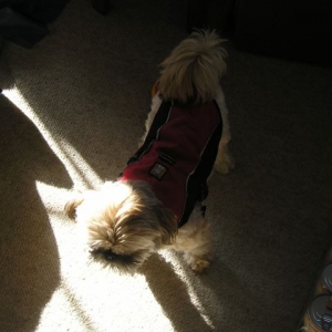 another pic of nylas new coat