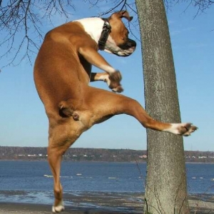 Everybody was kung fu fighting