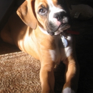 Hello Sunshine