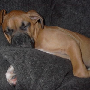 sleepy