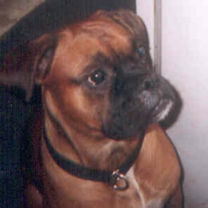 Samson1