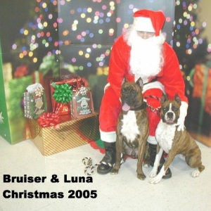 Christmas 2005