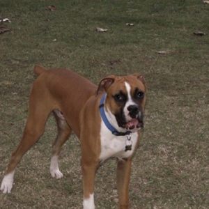 my happy boy!