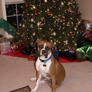 Rolen's first Christmas Picture