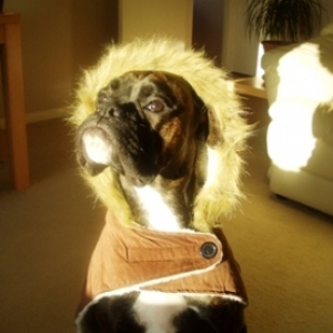 coat2