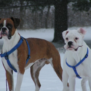 My handsome guys!