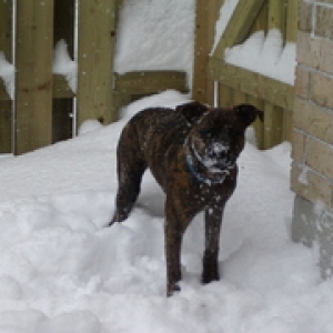 Sophie's first encounter with snow!