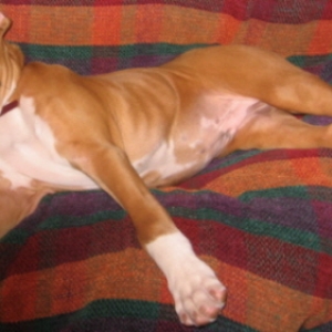 All stretched out