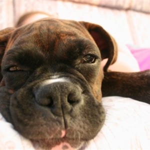 "You woke me to tell me that??"