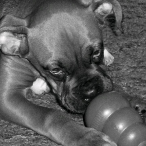 ROCKY3