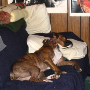 my_bed