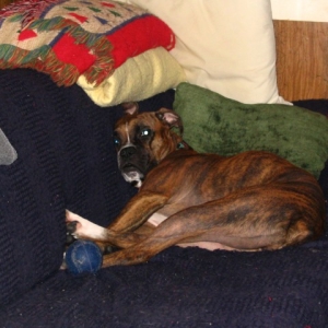 on_couch