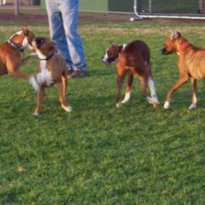 Group Play