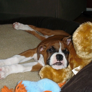 Sleepy Girl!