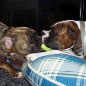 Tug of War