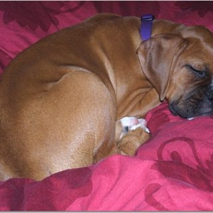 Sound Asleep