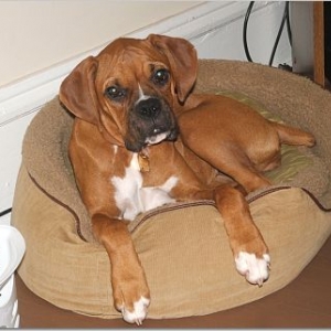 Stella 14 wks