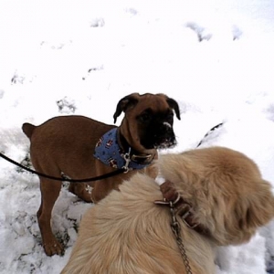 Enjoying the snow