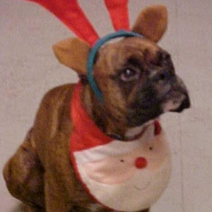 X-mas_baby