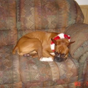 Lazy Lazy!!