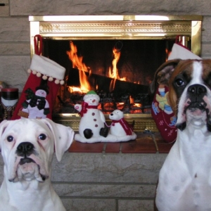 Christmas pic