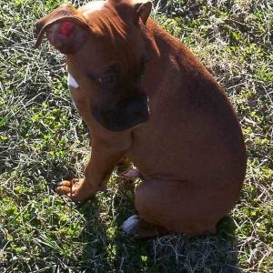 Is that my shadow