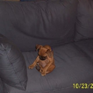 Rocky looking at his feet