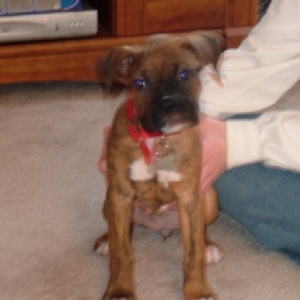 Kaybie Sitting Pretty (7 weeks old)