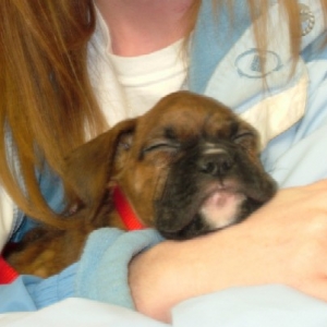 Kaybie sleeping in my arms (6 weeks old)