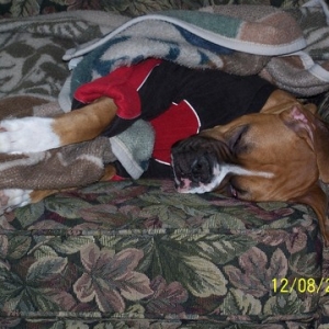 Sleepyhead