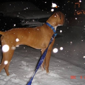 Snow!